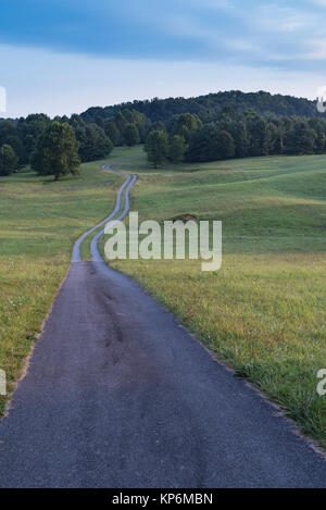 Double Track Straße führt auf einem grasbewachsenen Hügel und verschwindet in den Wäldern Stockfoto