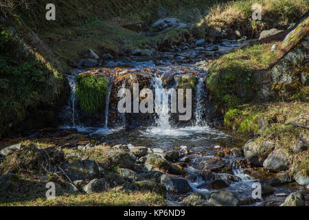 Ein kleiner Wasserfall in einem bergbach an der Seite des Oyama, einen heiligen Berg in der Nähe von Isehara, Kanagawa, Japan Stockfoto
