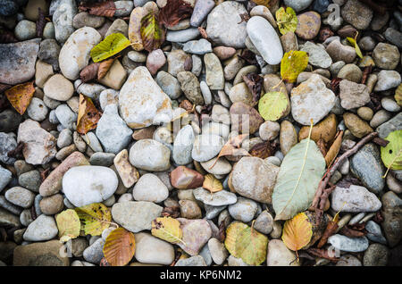 Meer-Steinen und Laub im Herbst, Nahaufnahme Stockfoto