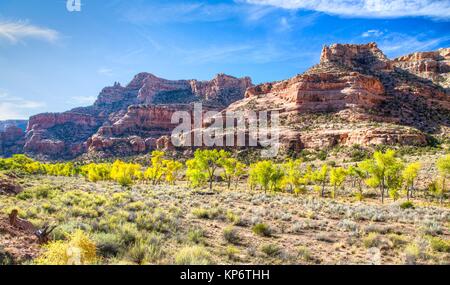 Rote Felsformationen im San Rafael Swell und Canyon 9. Oktober 2016 in der Nähe von Green River, Utah. (Foto von Bob Wick über Planetpix) Stockfoto