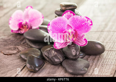 Fuchsia Phalaenopsis Orchideen und schwarze Steine auf hölzernen Hintergrund Stockfoto