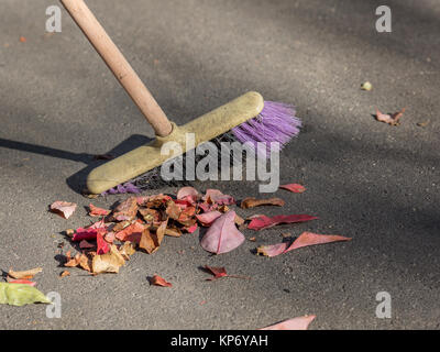 Reinigung Gehweg Straße von Laub im Herbst manuell Besen Stockfoto