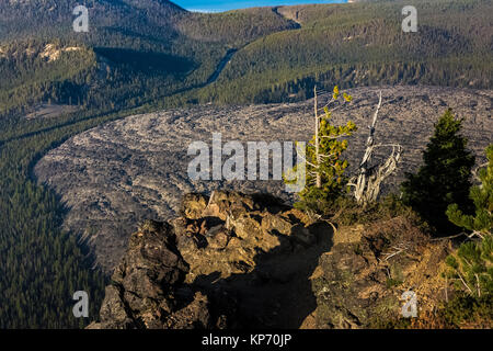 Blick von Paulina Peak, auf großen Obsidian Flow und eine whitebark Kiefern, Pinus albicaulis, in Newberry National Volcanic Monument suchen, die zentral Oreg Stockfoto