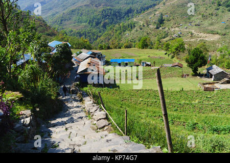 Stein Schritte auf dem Trekking Trail zwischen Birethanti und Nayapul, Annapurna Sanctuary, Nepal. Stockfoto