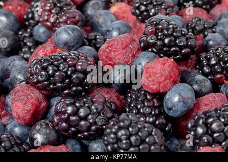 Blaubeeren, Brombeeren und Himbeeren Obst Stockfoto