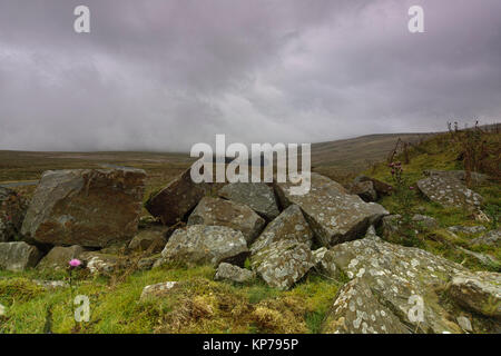 Als der Nebel steigt auf Harthope Moos, im Herbst, zwischen dem Oberen gewohnt und Oberen Teesdale in der Grafschaft Durham im Nordosten Englands. Stockfoto