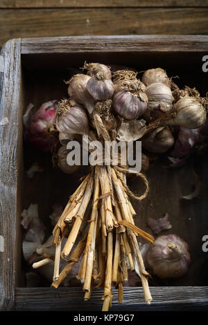 Bündel von Knoblauch in der Kiste, Lebensmittel Nahaufnahme Stockfoto