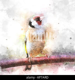 Digital verbesserte Bild einer Europäischen Stieglitz (Carduelis carduelis) Zucht im Gefieder auf einen Ast. Stockfoto