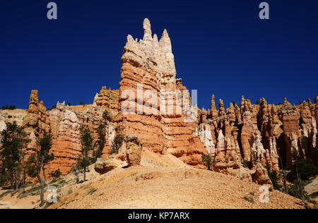 Hoodoos am Queens Garden Wanderweg, Brice Canyon Nt. Park, Utah, USA Stockfoto