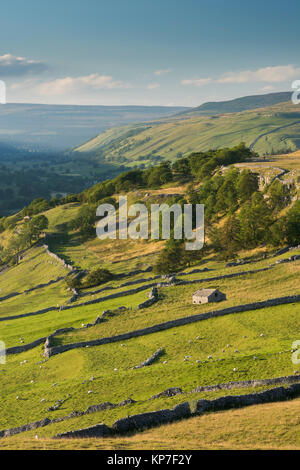 Fern- Blick von conistone Pie in Richtung Kettlewell und Halton Gill, über wunderschöne Yorkshire Dales Landschaft - North Yorkshire, England, UK. Stockfoto