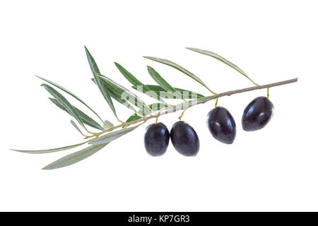 Schließen uo auf schwarze Oliven mit seinem Blatt und Schatten auf weißem backgeound Stockfoto