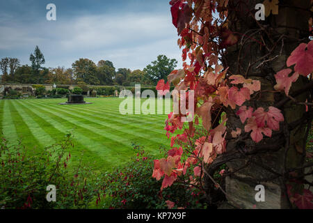 Pergola Spaziergang an der Hever Castle in der Nähe von Edenbridge, dem Sitz der Familie Boleyn, Kent, Vereinigtes Königreich Stockfoto