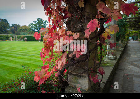 Pergola Spaziergang an der Hever Castle in der Nähe von Edenbridge, dem Sitz der Familie Boleyn, Kent, Vereinigtes Königreich Stockfoto