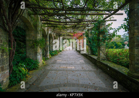 Pergola Spaziergang an der Hever Castle in der Nähe von Edenbridge, dem Sitz der Familie Boleyn, Kent, Vereinigtes Königreich Stockfoto