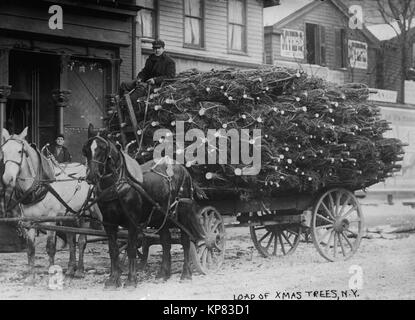 Man schleppen Weihnachtsbäume auf einem großen Pferden gezogenen Wagen in New York Stockfoto