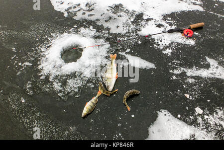 Winter Angeln Stockfoto