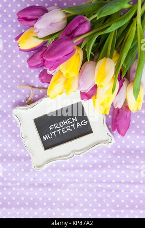 Bunte Tulpen auf lila Stockfoto