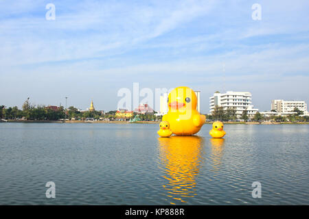 Die gelben Enten ist die meisten Schlager-Ansicht für Fotos. Der Park der großen Provinzen ist berühmt, Udonthani, Thailand. Stockfoto