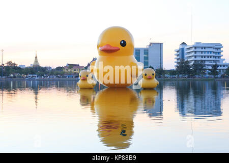 Die gelben Enten ist die meisten Schlager-Ansicht für Fotos. Der Park der großen Provinzen ist berühmt bei Sonnenuntergang, Udonthani, Thailand. Stockfoto