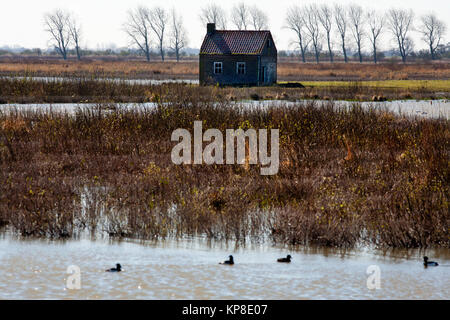 Verlassenes Haus Stockfoto