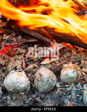 Kartoffeln im Feuer Stockfoto