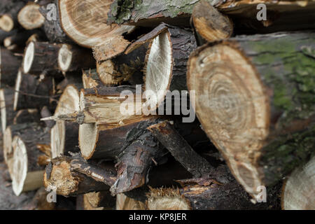 Haufen von Brennholz Stockfoto
