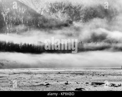 Mystic Winterlandschaft - Snowy Mountain Lake im Nebel (sylvensteinsee) Stockfoto