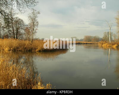 Im Licht der hellen Wintersonne Stockfoto