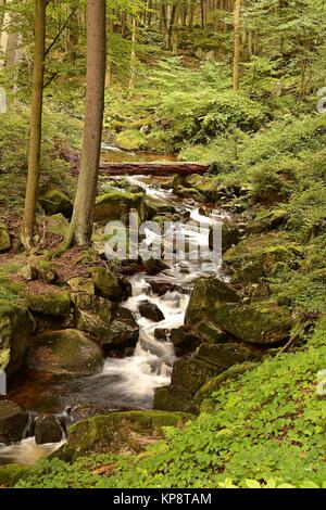 Die Ilse bei Ilsenburg im Nationalpark Harz am Fuße des Brockens Stockfoto