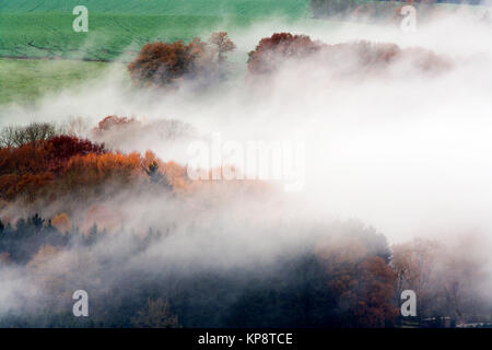 Nebligen Wälder und Felder Stockfoto