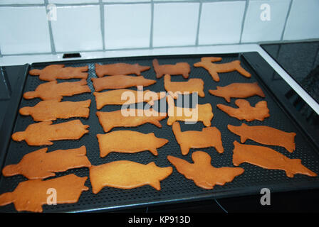 Frisch gebackene Lebkuchen Zahlen auf ein Backblech Stockfoto