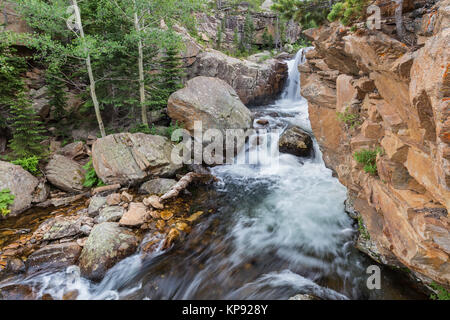 Eine kleine Wasserfälle in einem Abgrund auf Glacier Creek über Alberta fällt im Rocky Mountain National Park, Colorado Stockfoto