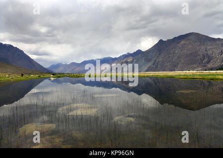 Riesige See im Nubra Tal, dunklen Bergmassive der Berge in die Ferne gehen, das Wasser spiegelt die grauen Wolken, den Himalaya. Stockfoto