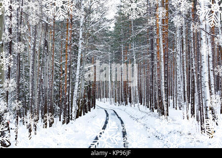 Straße im Winter Wald. Schneebedeckte Bäume Stockfoto