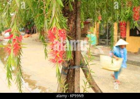 Frau mit traditionellen nicht La konische Hut shopping in Hoi An, Vietnam Stockfoto