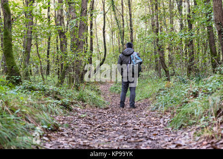 Mann mit seinem Rucksack auf schmalen Waldweg mit Bäumen um, trockene Blätter auf dem Boden. Stockfoto