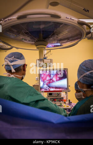 Op-Team der Prostatektomie (Prostata Ablation) unter coeliosurgery, Frankreich. Stockfoto