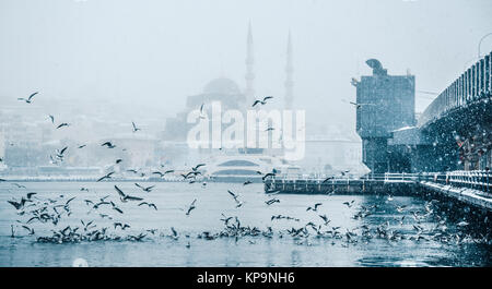 Winter seascape Blick auf populäre Neue mosgue und Galata Brücke über den Bosporus Möwen fliegen an einem verschneiten Tag im Winter. Stockfoto