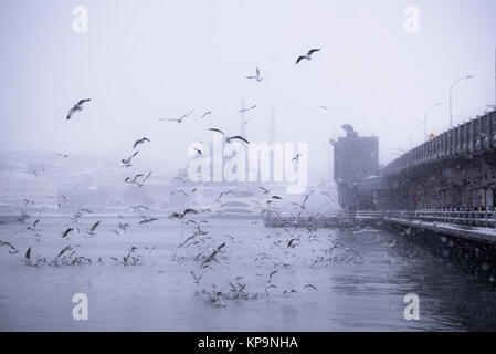 Winter seascape Blick auf populäre Neue mosgue und Galata Brücke über den Bosporus Möwen fliegen an einem verschneiten Tag im Winter. Stockfoto