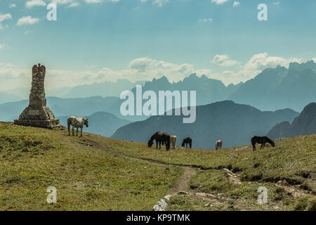 Schöne Pferde in Berglandschaft in den Vordergrund, Dolomiten, Italien. Sonniger Tag. Reisekonzept, Exemplar. Stockfoto