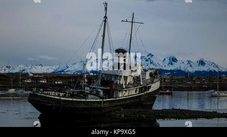 Ein versenkt altes Schiff in den Hafen von Ushuaia Stockfoto