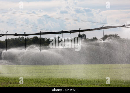 Große seitliche Bewegung Bewässerungssystem Stockfoto