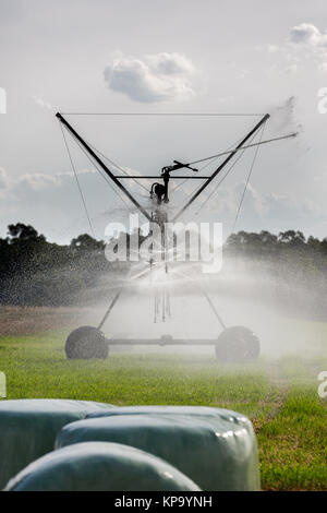 Große seitliche Bewegung Bewässerungssystem Stockfoto