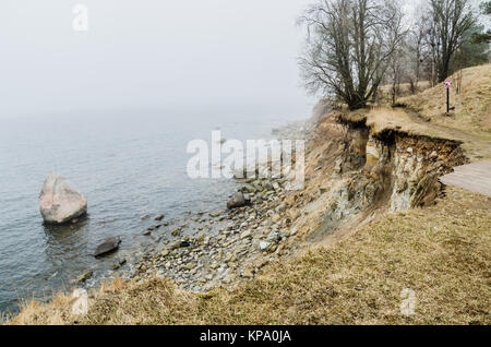 Estnische Kalkstein Nordufer im Nebel Stockfoto