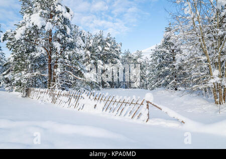 Verschneite Zaun auf dem Lande. Viitna, Estland Stockfoto