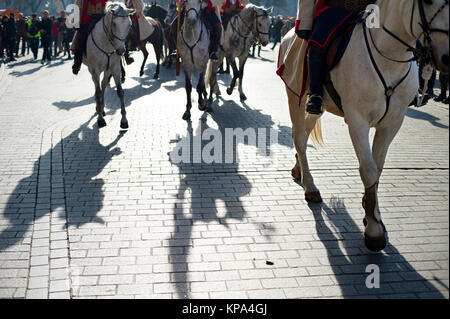 Pferde-Parade in der Stadt Stockfoto