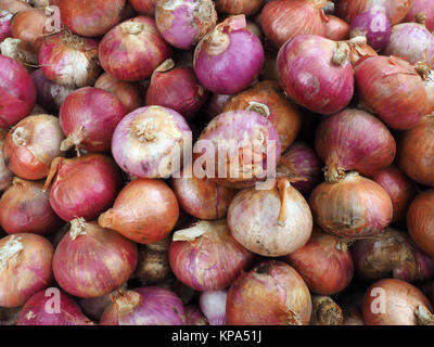 Zwiebel, großen Stapel, Hintergrund Textur der Lampe ist braun und rosa. Stockfoto