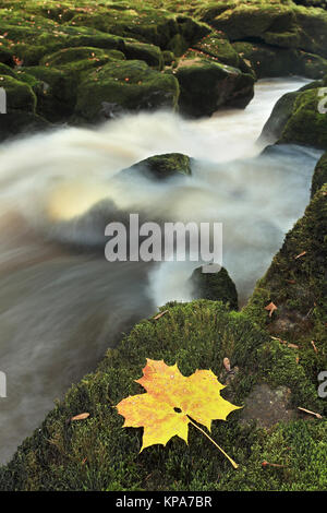 Die Strid, einem sehr schmalen Abschnitt des Flusses Wharfe in der Nähe von Bolton Abbey in Yorkshire Dales National Park, North Yorkshire, Großbritannien Stockfoto