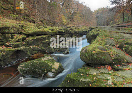 Die Strid, einem sehr schmalen Abschnitt des Flusses Wharfe in der Nähe von Bolton Abbey in Yorkshire Dales National Park, North Yorkshire, Großbritannien Stockfoto