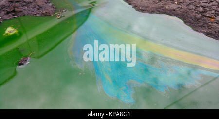 Oil Spill Regenbogenfarben auf Asphalt Stockfoto